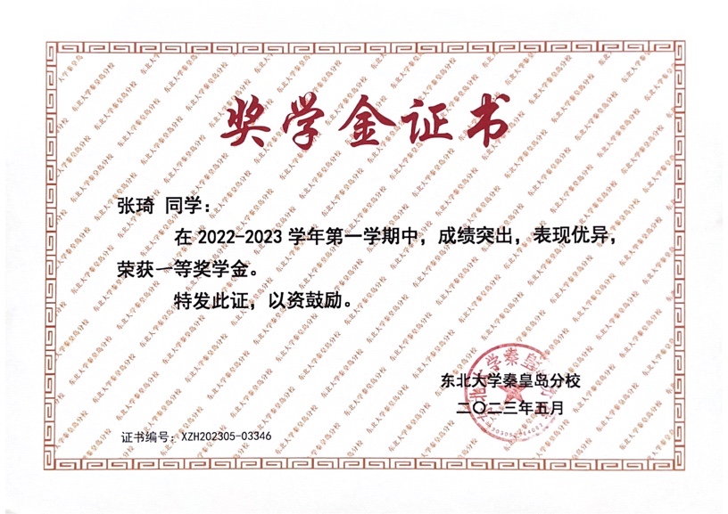 2023年校综合一等奖学金